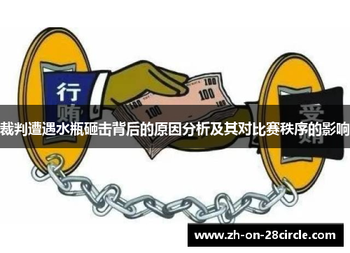 裁判遭遇水瓶砸击背后的原因分析及其对比赛秩序的影响