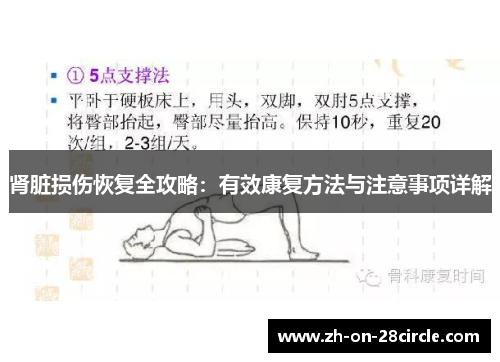 肾脏损伤恢复全攻略：有效康复方法与注意事项详解
