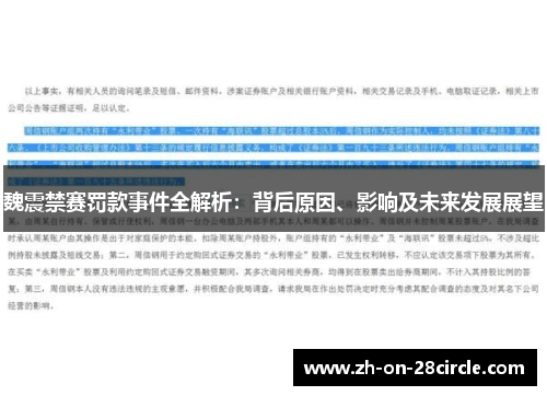 魏震禁赛罚款事件全解析：背后原因、影响及未来发展展望